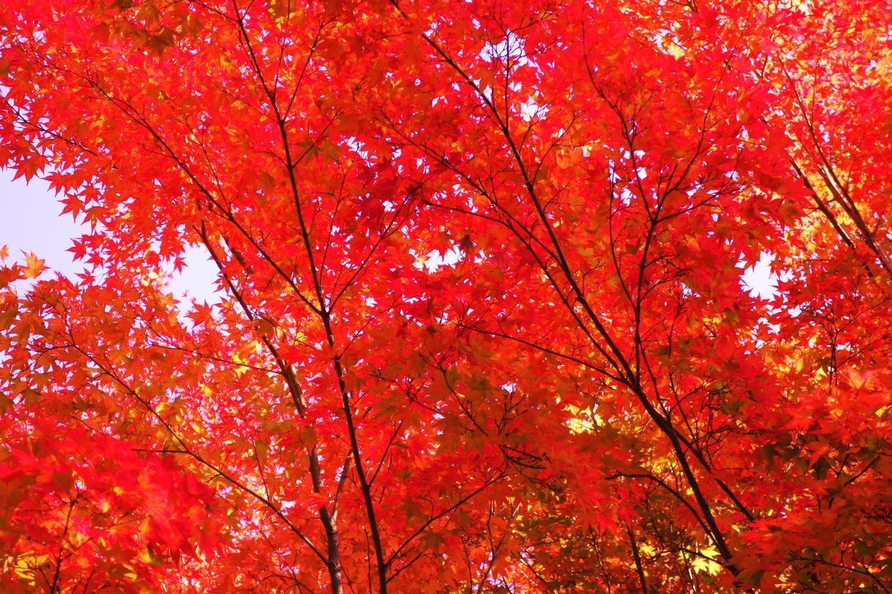 Kishutetsudo Karuizawa Hotel Tsumagoi Exteriör bild